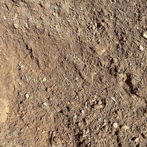 Screened Top Soil